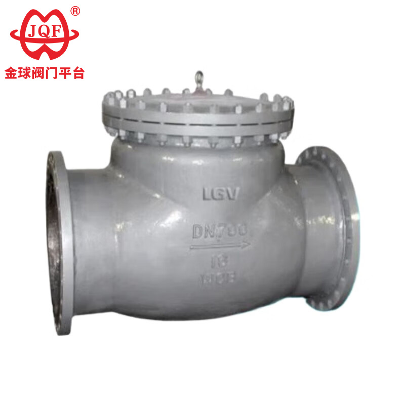 Swing Check Valve