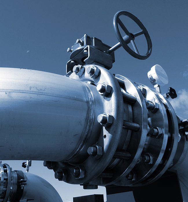 'Guardian of Control' ing Donya Cairan